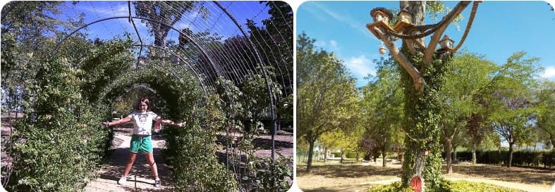 Los Rosales de Alicia y el árbol de las hadas en Un Paseo de Cuento. Villarquemado en Teruel.