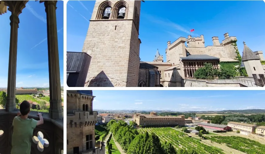Vistas panorámicas desde el Palacio Real de Olite.