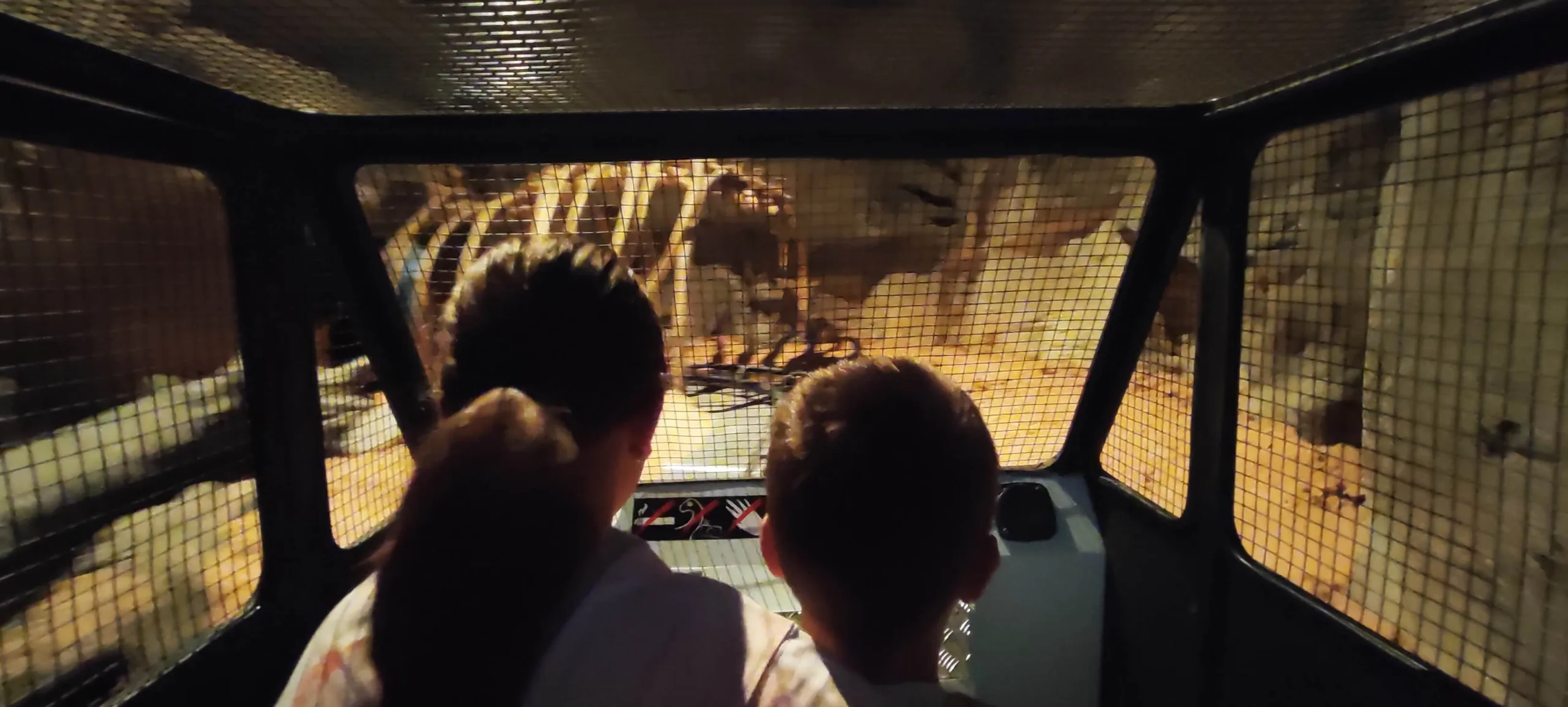 Viaje en el tiempo en Dinópolis. Teruel.