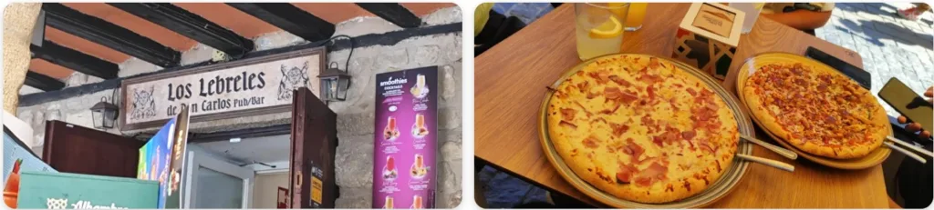 Los lebreles de Don Carlos. Olite.