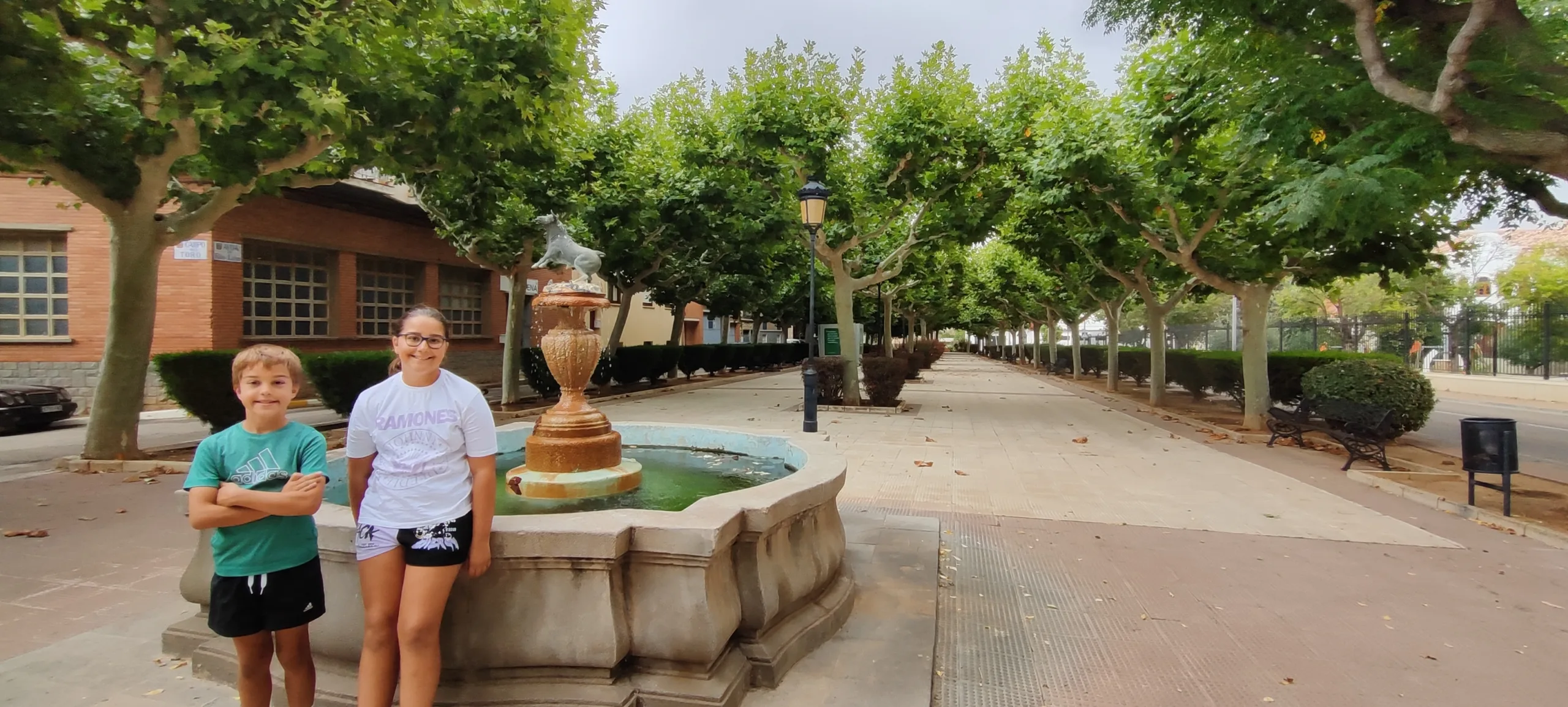 Fuente del torico en Cariñena. Zaragoza.